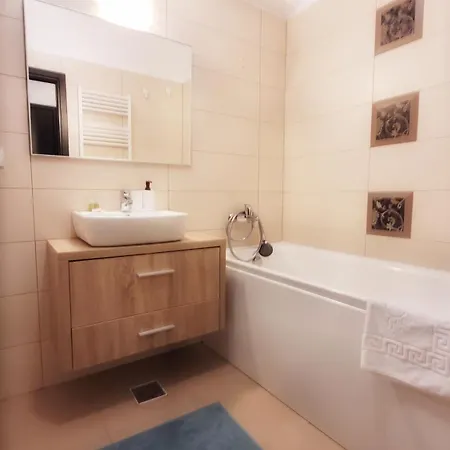 Musetesti Residential Lejlighed *